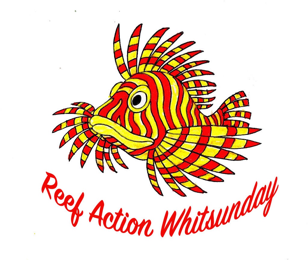 Reef Action Whitsundays
